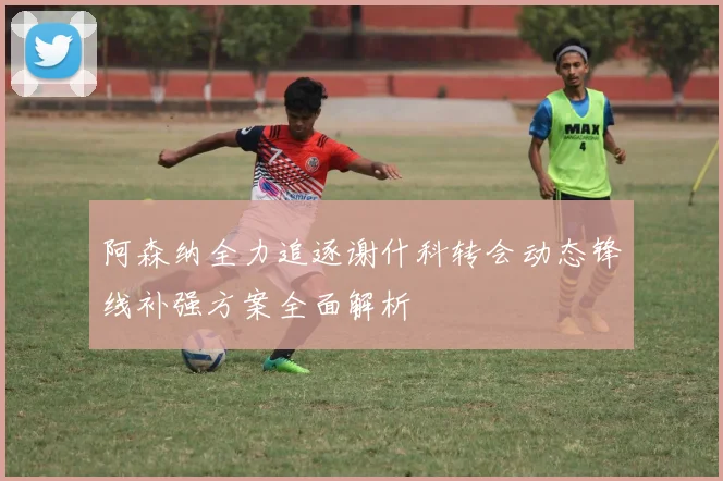 阿森纳全力追逐谢什科转会动态锋线补强方案全面解析